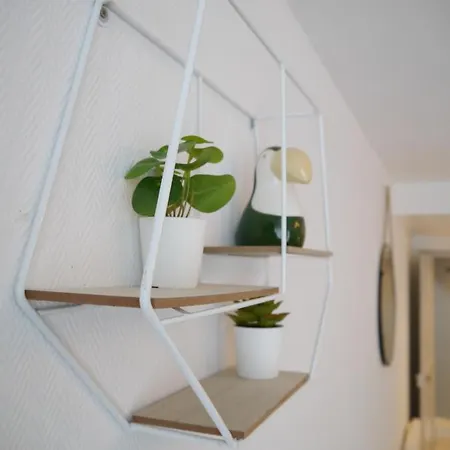 Les Cosy De - Le Repère Du Roi Stanislas 4étoiles *