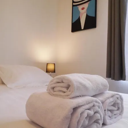 Les Cosy De - Le Repere Du Roi Stanislas 4etoiles Apartment Nancy