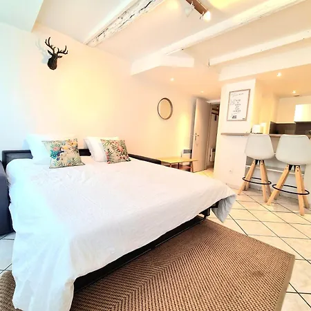 Les Cosy De - Le Repère Du Roi Stanislas 4étoiles Apartamento Nancy