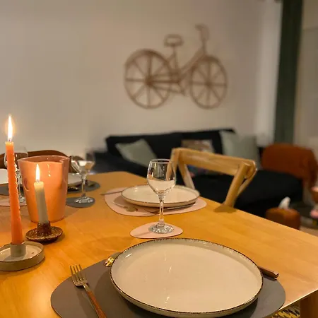 Appartement Les Cosy De - Le Repère Du Roi Stanislas 4étoiles Nancy