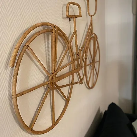 Les Cosy De - Le Repère Du Roi Stanislas 4étoiles Nancy