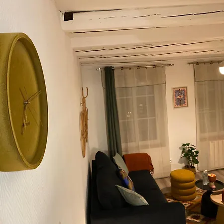 Apartamento Les Cosy De - Le Repère Du Roi Stanislas 4étoiles