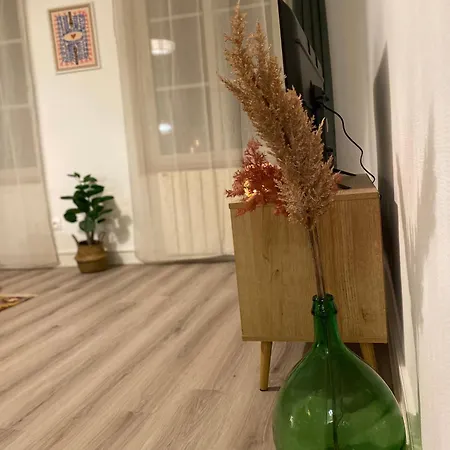 Les Cosy De - Le Repère Du Roi Stanislas 4étoiles Appartement