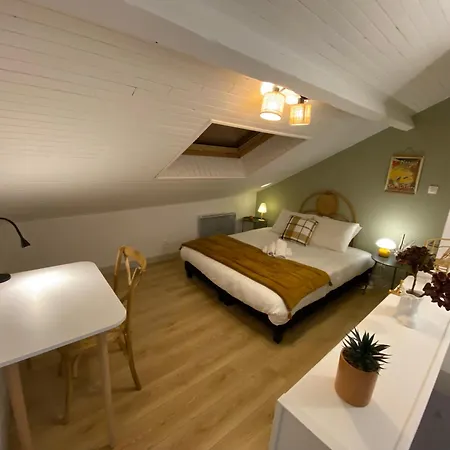 Les Cosy De - Le Repère Du Roi Stanislas 4étoiles Appartement