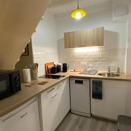 Apartamento Les Cosy De - Le Repère Du Roi Stanislas 4étoiles *