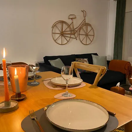 Les Cosy De - Le Repère Du Roi Stanislas 4étoiles Apartamento