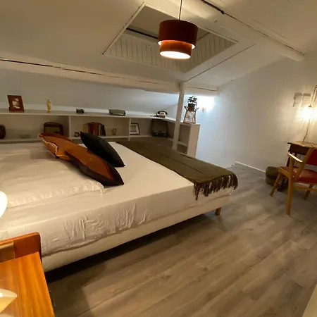 Apartamento Les Cosy De - Le Repère Du Roi Stanislas 4étoiles *