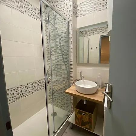 Apartamento Les Cosy De - Le Repère Du Roi Stanislas 4étoiles