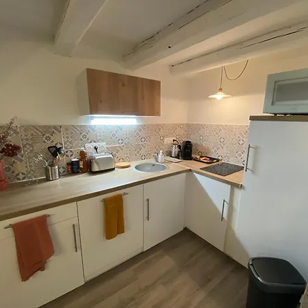Les Cosy De - Le Repère Du Roi Stanislas 4étoiles Apartamento
