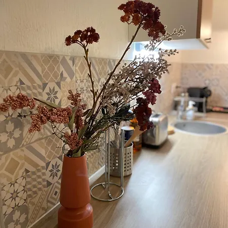 Les Cosy De - Le Repère Du Roi Stanislas 4étoiles Nancy