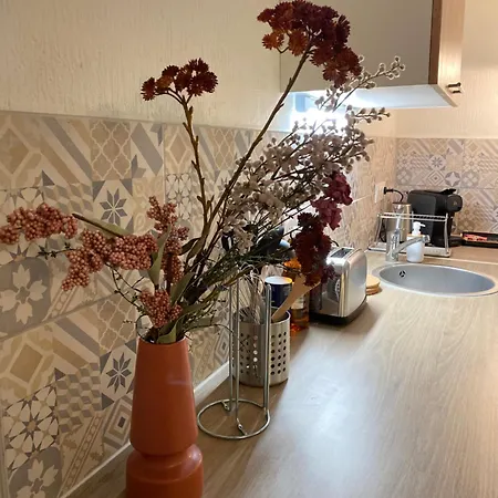 Les Cosy De - Le Repère Du Roi Stanislas 4étoiles Apartamento