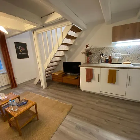 Apartamento Les Cosy De - Le Repère Du Roi Stanislas 4étoiles *