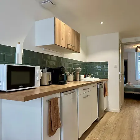 Apartamento Les Cosy De - Le Repère Du Roi Stanislas 4étoiles