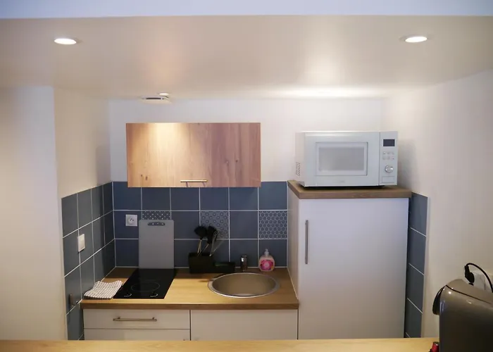 Les Cosy De - Le Repere Du Roi Stanislas 4etoiles *