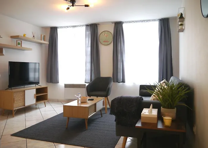 Les Cosy De - Le Repere Du Roi Stanislas 4etoiles Нанси