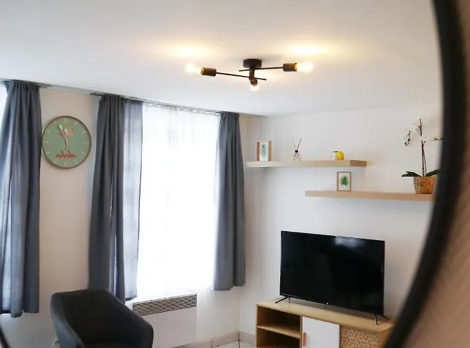 Les Cosy De - Le Repere Du Roi Stanislas 4etoiles Apartamento *