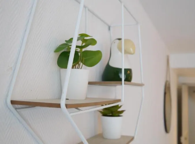 Les Cosy De - Le Repere Du Roi Stanislas 4etoiles *