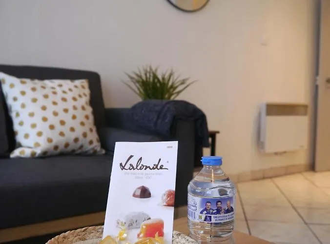 Les Cosy De - Le Repere Du Roi Stanislas 4etoiles