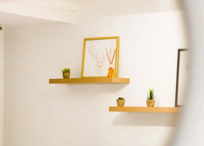 Les Cosy De - Le Repere Du Roi Stanislas 4etoiles