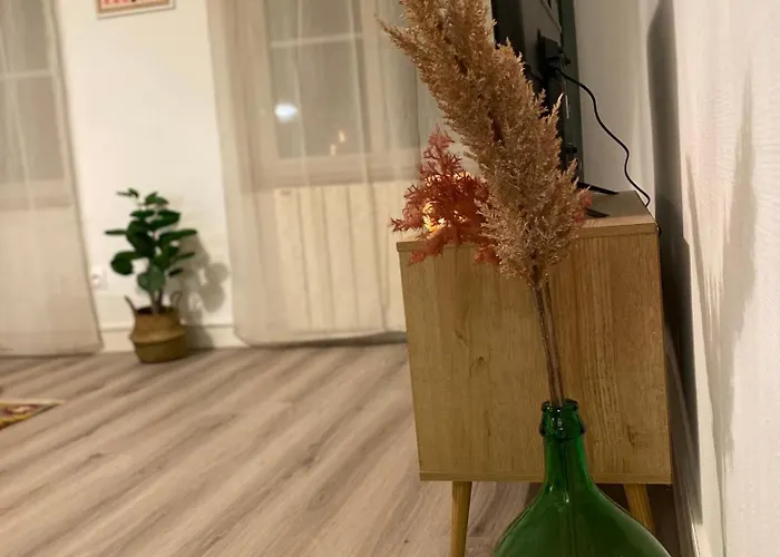 Les Cosy De - Le Repere Du Roi Stanislas 4etoiles