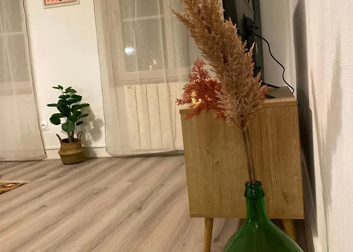 Les Cosy De - Le Repere Du Roi Stanislas 4etoiles