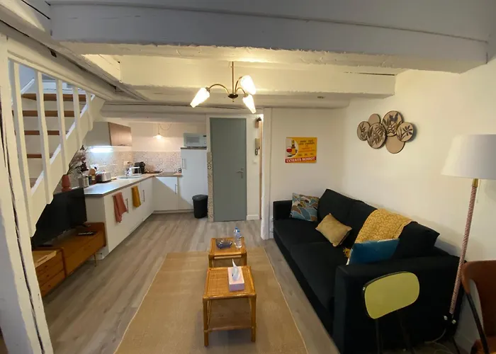 Les Cosy De - Le Repere Du Roi Stanislas 4etoiles Апартаменты *