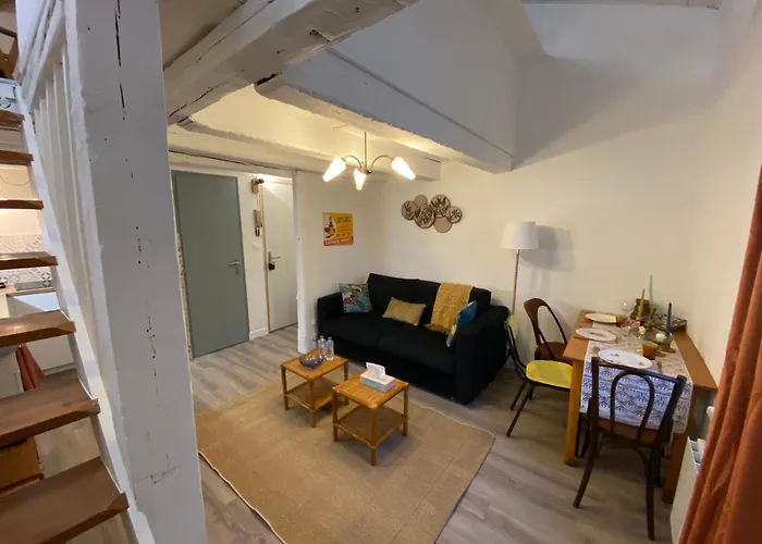 Les Cosy De - Le Repere Du Roi Stanislas 4etoiles Нанси