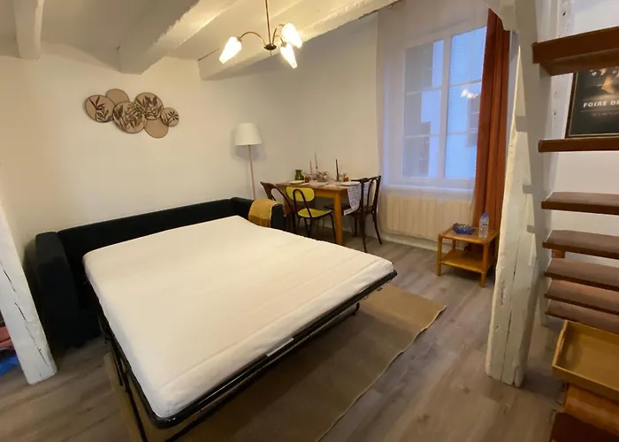 Апартаменты Les Cosy De - Le Repere Du Roi Stanislas 4etoiles