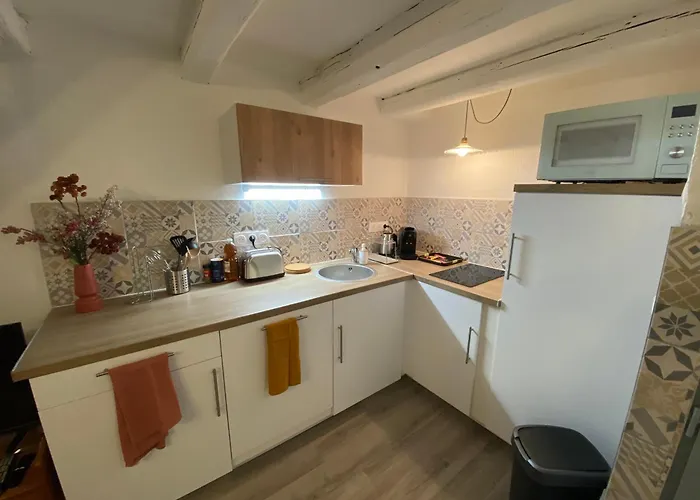 Les Cosy De - Le Repere Du Roi Stanislas 4etoiles Апартаменты