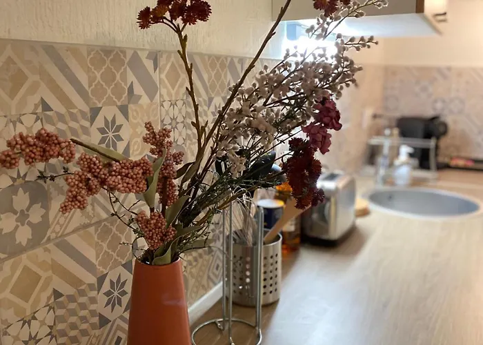 Les Cosy De - Le Repere Du Roi Stanislas 4etoiles Нанси