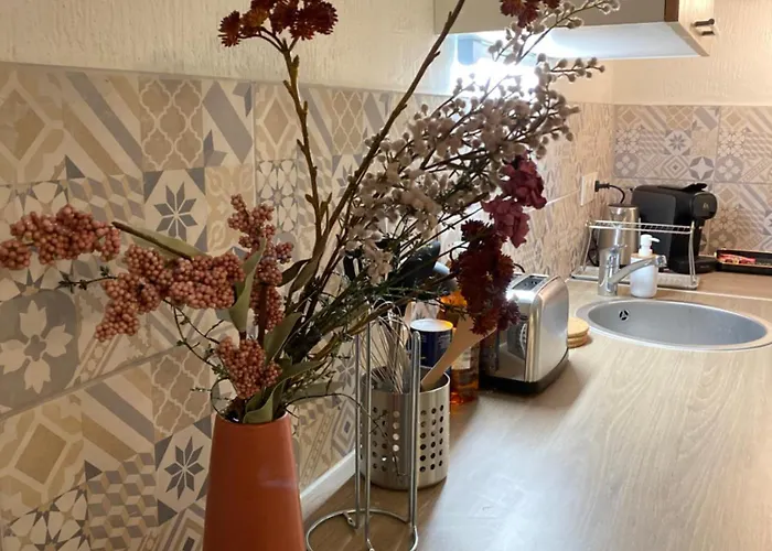 Les Cosy De - Le Repere Du Roi Stanislas 4etoiles Апартаменты